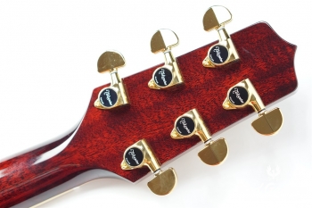 DMP551C WR - Wine Red